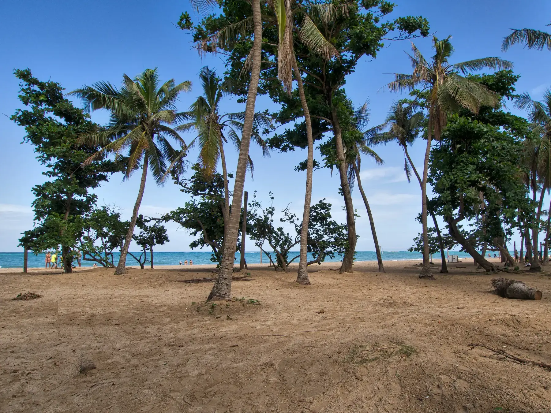 The quiet end of Ocean Park Beach at the end of our street